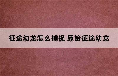 征途幼龙怎么捕捉 原始征途幼龙